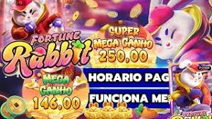 horarios para jogar fortune rabbit