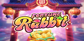 casinos24 fortune rabbit